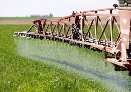 الخليج يرفع الحظر عن الحاصلات الزراعية المصرية