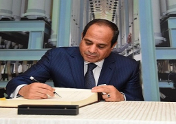 الموافقة علي التعاون المالي والفني بين مصر والامارات