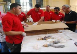 بالصور.. “سرير وعجلة” توت عنخ آمون تصل المتحف المصرى الكبير