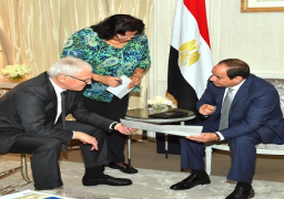 بالصور..السيسى يبحث زيادة الاستثمارات الفرنسية في مجال الطاقة بمصر