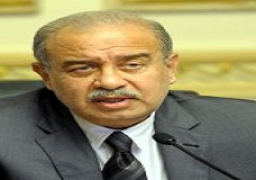 رئيس الوزراء يستعرض مع محافظ أسوان موقف المشروعات المنفذه