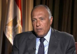شكري يتوجه لباريس لدعم ترشيح مشيرة خطاب قبل التصويت باليونسكو