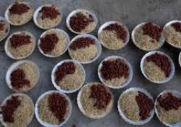 طبق واحد يكشف “التفاوت الصارخ” بسعر الطعام بين دول العالم