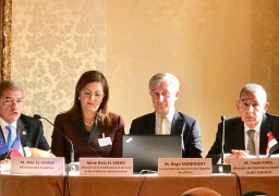 قابيل يؤكد ان العلاقات المصرية الفرنسية تشهد زخما اقتصاديا حاليا