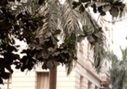 لجنة تطوير وحماية القاهرة التراثية: مثلث البورصة..منطقة مفتوحة للفن خلال 4 أشهر