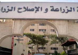 “الزراعة” و “الأكساد” يستعرضان مشروعات التنمية الزراعية المستدامة