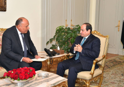 الرئيس السيسي يتلقى تقريرا من وزير الخارجية بشأن جولته العربية الأخيرة