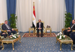 السيسي يعرب لوزير خارجية فنلندا عن تطلع مصر لتعزيز التعاون بين البلدين
