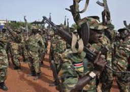 اثيوبيا تؤكد دخول الآلاف من جنودها إلى الصومال