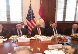 اتفاق مصري أمريكي على الحل السياسي لازمات المنطقة