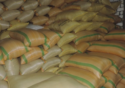 6100 جنيه سعر طن الأرز والبيع بـ 6.50 جنيه للكيلو