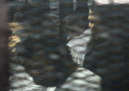 الجنايات تستأنف اليوم محاكمة 213 متهما في قضية “أنصار بيت المقدس”