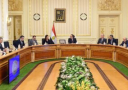 الحكومة تستعرض إجراءات فصل ملكية المتحف المصرى الكبير عن ادارته