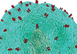 تحويل خلايا الجسم العادية إلى قاتلة للسرطان