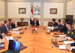 الرئيس يوجه بالبدء فورا في تنفيذ مشروع تطوير محور المحمودية