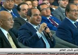 السيسي : نسعى لوضع آليات للرقابة على الجودة والأسعار