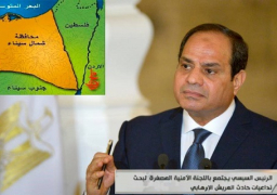 السيسي يؤكد ثقته بقدرة مصر على هزيمة الارهاب