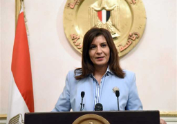 انتهاء مشروع قانون المظلة التأمينية للمصرى بالخارج
