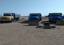 حرس الحدود يضبط 81 قضية بشهر نوفمبر بقيمة 182 مليون جنيه