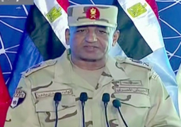 حمدي بدين: مشروعات الاستزراع السمكي تخفض الاستيراد بنسبة 25%