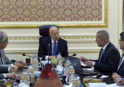 اليوم رئيس الوزراء يستقبل نظيره التونسى.. ولجنة عليا مشتركة غدا