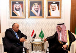 شكري: يلتقى ولي العهد السعودي