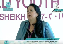قعلول: أخطر تيار على المجتمعات العربية هو التيار الإخواني