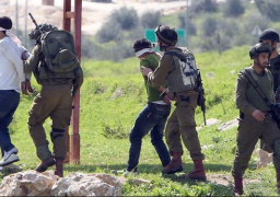 قوات الاحتلال الإسرائيلي تعتقل 25 فلسطينيا