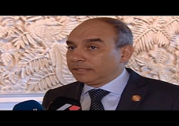 مندوب مصر الدائم بالأمم المتحدة يقدم اوراق اعتماده