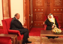 وزير الخارجية يبحث مع ملك البحرين الأوضاع بلبنان..ويؤكد: متضامنون مع المنامة