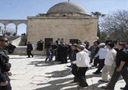 31 مستوطنا يقتحمون باحات الأقصى بحراسة الاحتلال الإسرائيلي