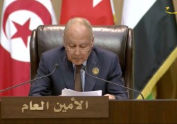 أبو الغيط يدعو لتطوير دور الاتحادات العربية