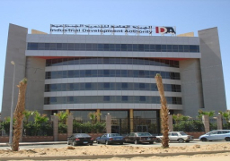 التنمية الصناعية تفحص 45 مشروعا مقترحا بالوادي الجديد