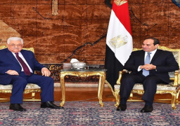 السيسي وأبو مازن يبحثان مستجدات القضية الفلسطينية