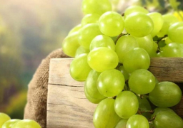 كندا تسمح بدخول العنب المصرى لأسواقها