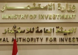 حصاد الاستثمار 2017 .. إصدار قانون الاستثمار وإصلاحات تشريعية