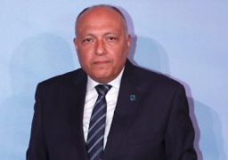 سامح شكرى يبحث مع نظيره الإماراتى التحديات المرتبطة بالأمن القومى العربى