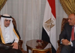 شكرى والجبير يبحثان تطورات الأوضاع في المنطقة العربية