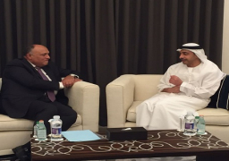 شكري وبن زايد يؤكدان رفضهما التدخل الأجنبي في شئون الدول العربية