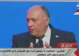 شكري يدعو للتعاون بين دول المتوسط لمواجهة الإرهاب