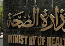 فحص 9 مليون مسافر بالموانى المصرية خلال عام