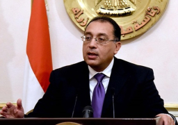 “الـوزراء” يتابع تنمية قرية الروضة بمركز بئر العبد