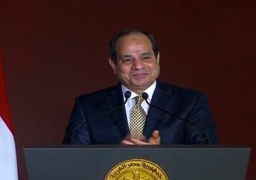 السيسي: ما تحقق من إنجازات وإصلاحات بفضل المصريين جميعا