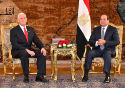 السيسي يستقبل نائب الرئيس الأمريكى