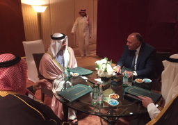 وزراء خارجية الرباعي العربي يعقدون اجتماعا تشاوريا بالرياض ‏