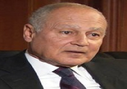 أبو الغيط يتوجه إلى سلطنة عمان