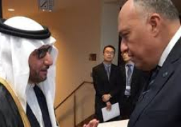 وزير الخارجية يلتقي أمين عام منظمة التعاون الإسلامي