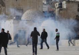 إصابة 3 فلسطينيين في اقتحام مستوطنين لمقام يوسف