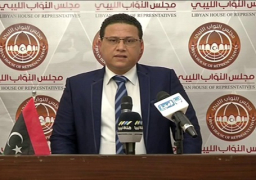 البرلمان الليبي: قطر تمد الإرهابيين بالمال والأسلحة