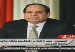 الرئيس: مصر تواجه الإرهاب بضراوة